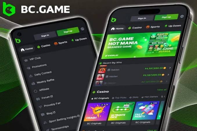 Exploring the BC.Game Gambling Platform A Comprehensive Guide 956693974